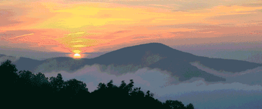 文明旅游 | 春节出游,与文明相伴贺新年!