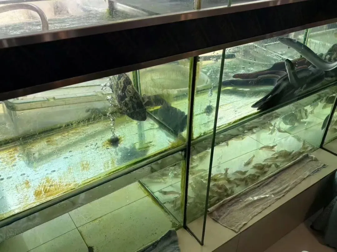 2025年俱乐部10月·旅游篇·广东湛江