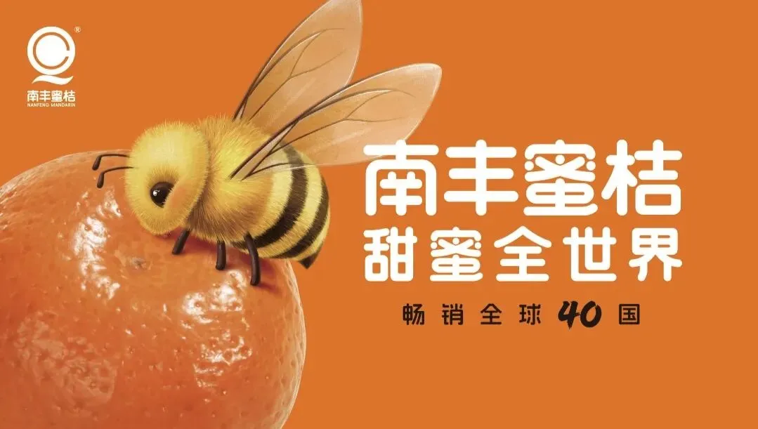 春节游南丰|景区禁燃禁放,平安过年更安心