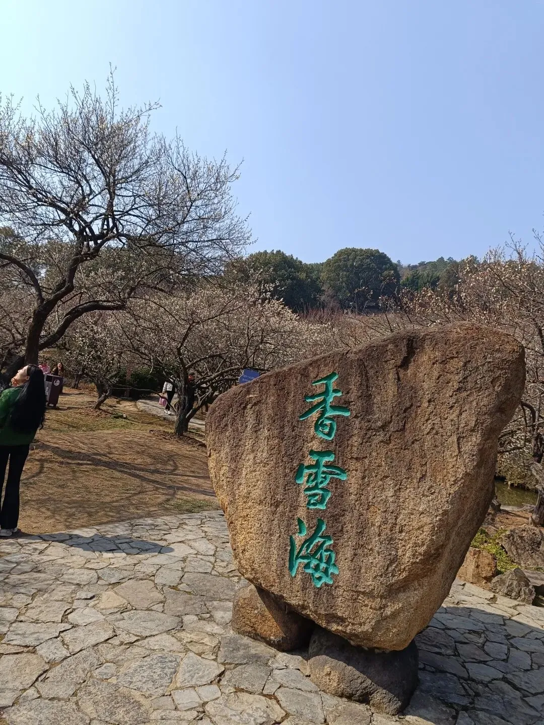 我们家今年过年,团圆不了啦,改为在苏州旅游过年,挺好的,哈哈.