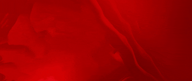 市传媒旅游集团召开2025年度基层党组织书记抓基层党建工作述职评议会