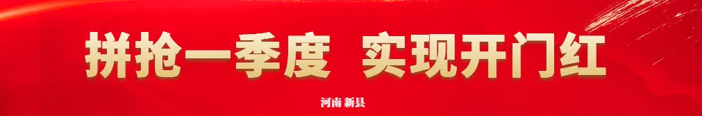 醒狮点睛!新县2026春节文化旅游消费季启动