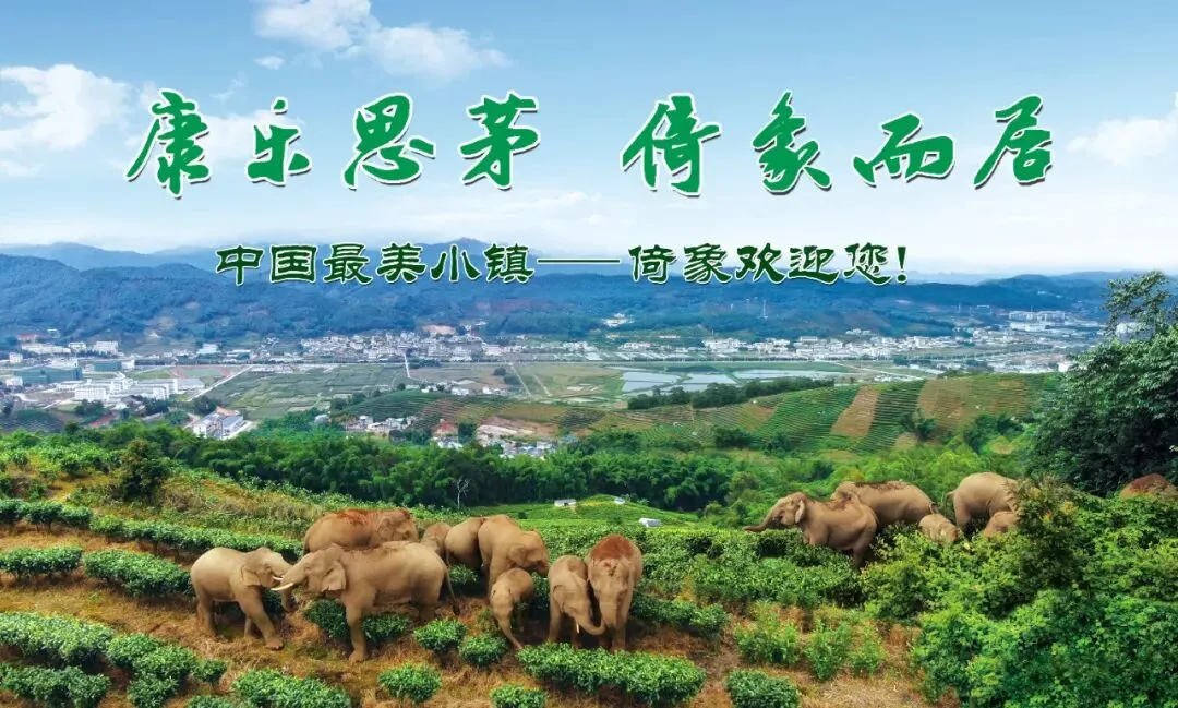 倚象镇2026年文明旅游倡议书