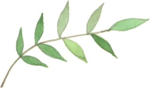 新景点推介 | 云台花园的温室“换新颜“啦