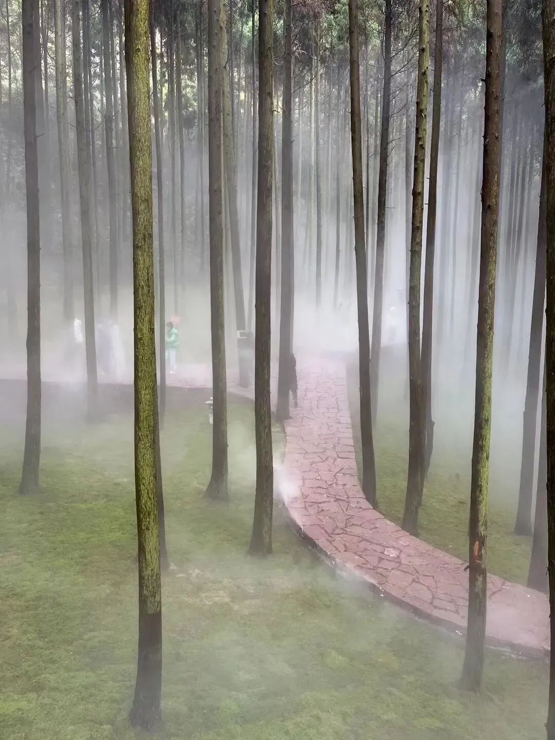 乐清祺泰氧吧!驱车半小时,被景区拒之门外,干脆徒步绕山路又惊又喜,直达内部