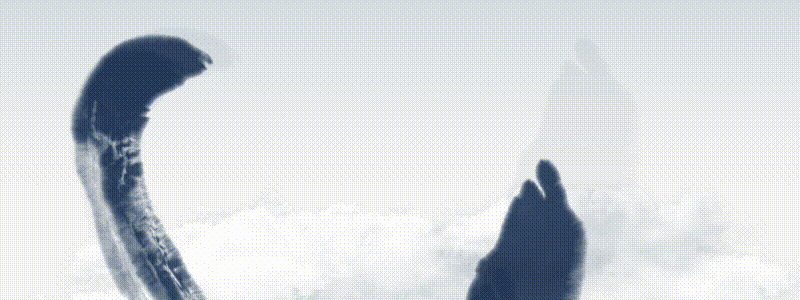 冰雪迎新春 景区趣无穷 | 榆林旅投新春系列活动邀您一起欢喜过大年