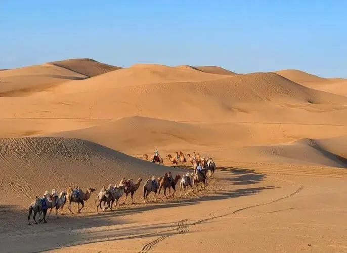 内蒙古响沙湾把全国景区的饭碗给砸了