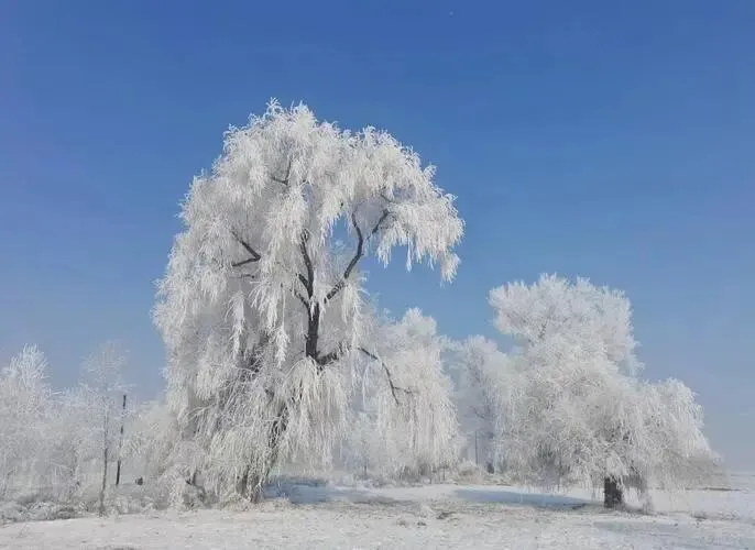 吉林雾凇岛把全国景区的饭碗给砸了