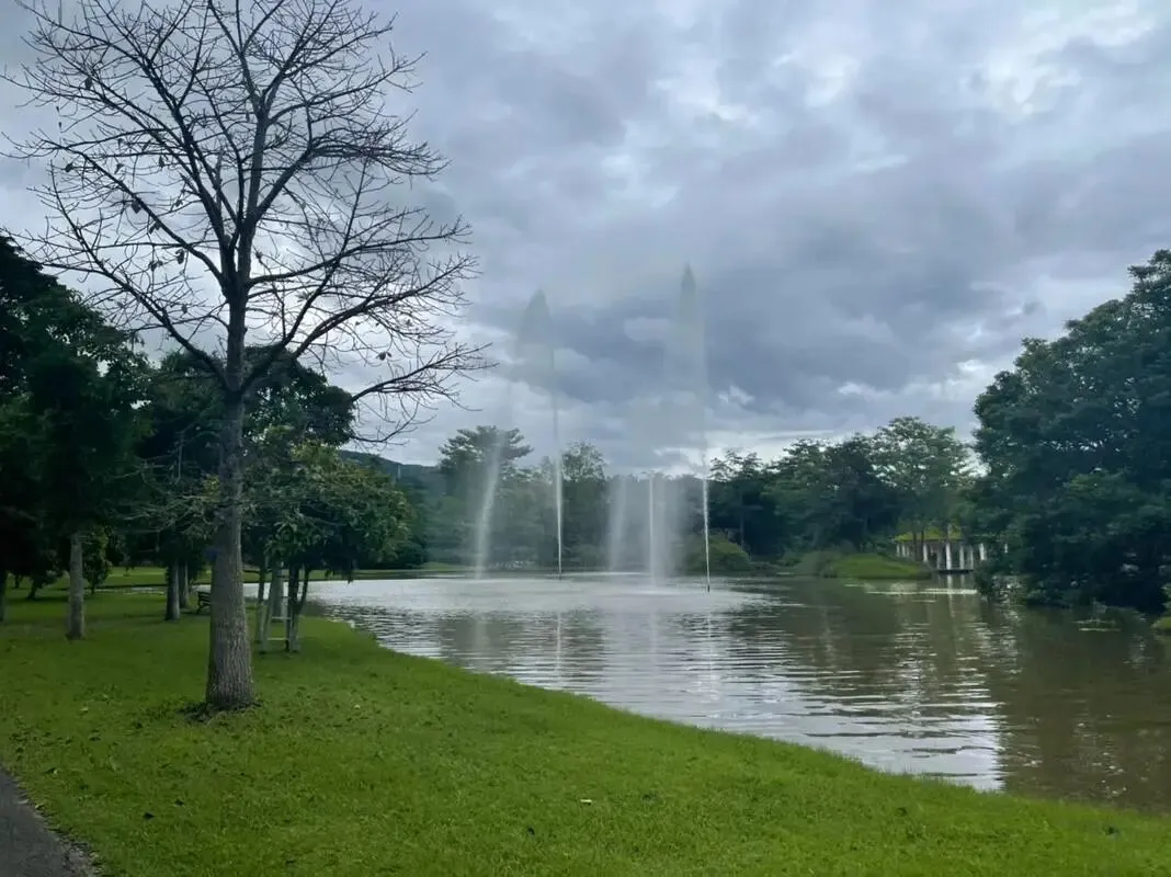 云南西双版纳把全国景区的饭碗给砸了