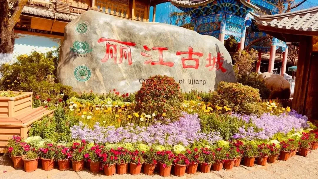 云南丽江古城把全国景区的饭碗给砸了