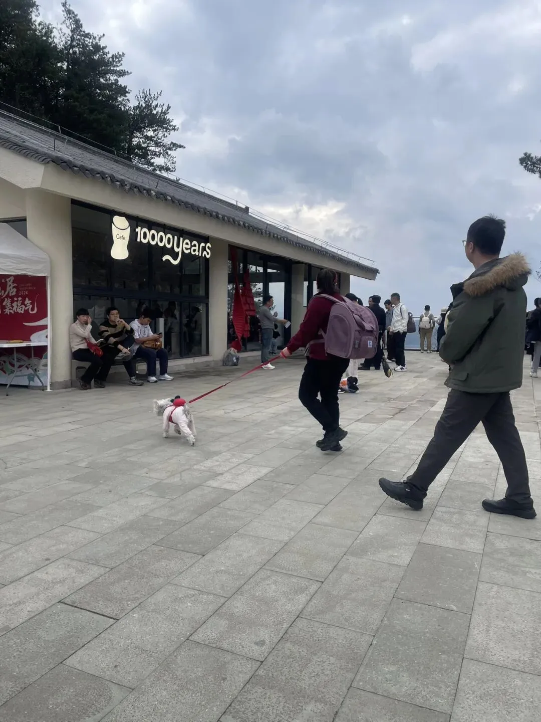 游神仙居发现:现在的人太会旅游了
