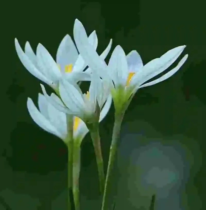 60岁前,这3个5A景区一定要去一次,去过1个便觉心里更轻松