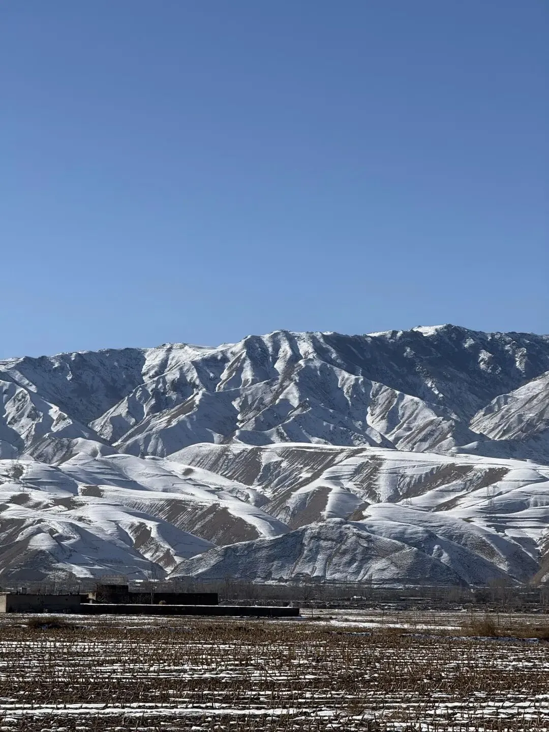 河西走廊旅游已回,我的消费观崩塌了!!!