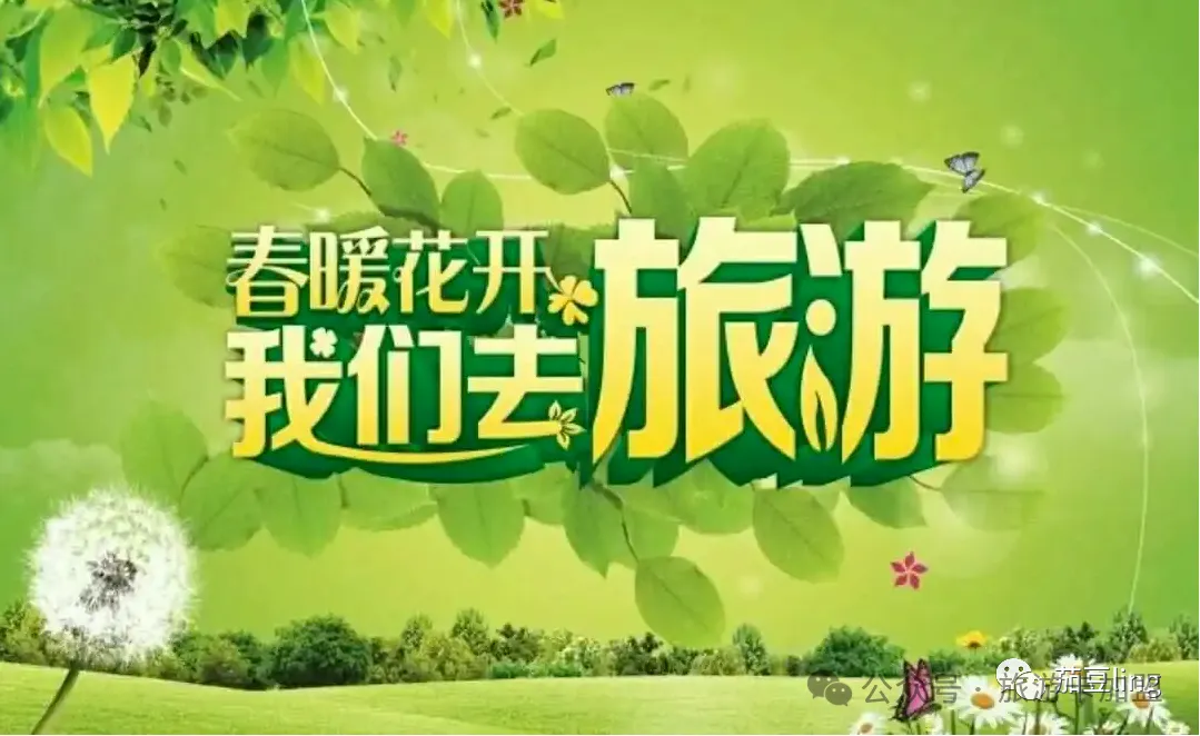 共享旅游创业:新一轮的割韭菜又开始了