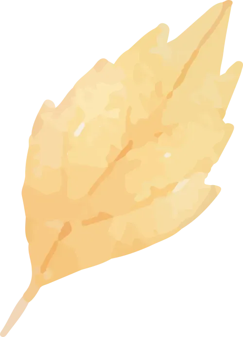 特克斯县阿克塔斯姑娘峰景区2026年2月15日10:00至14:00临时闭园,别跑空!!!