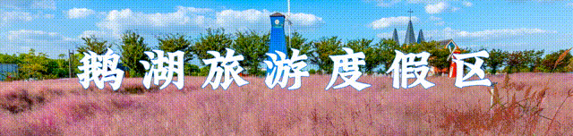 “马” 上送达!鹅湖旅游度假区这波新春年味太浓了~