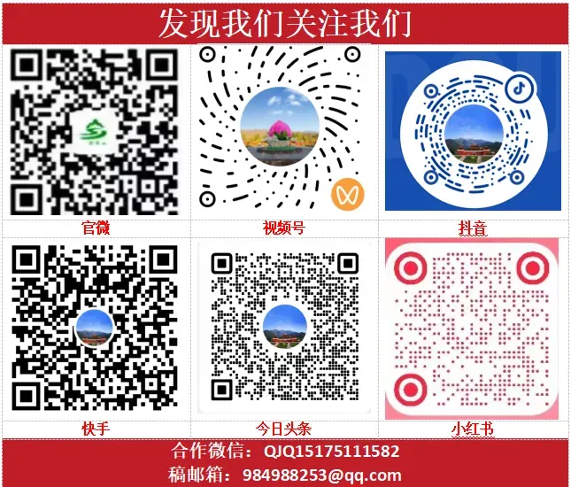 王母山景区关于除夕下班时间调整的通知