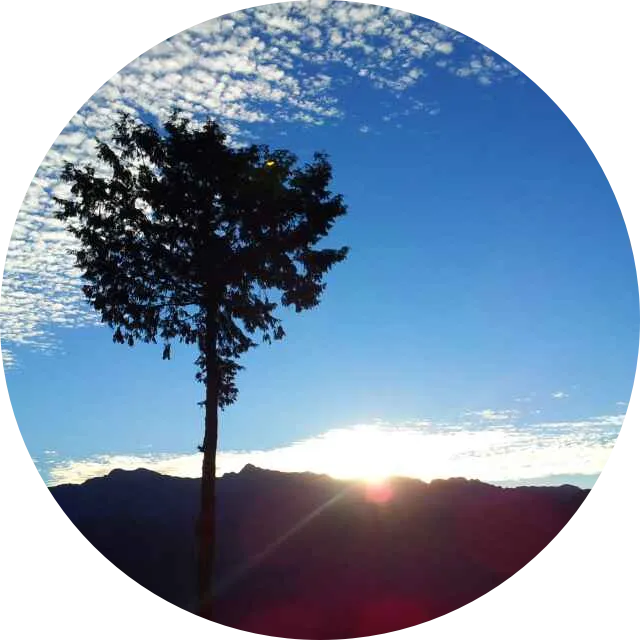 福建、厦门:3月旅游线路汇总(鼓浪屿/泰宁古镇/土楼/曾厝垵/南普陀寺/东山岛/平潭岛...)