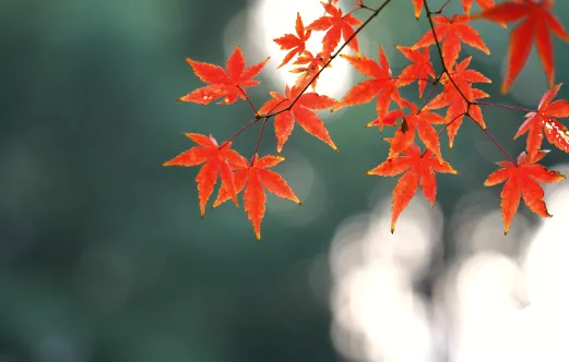 郑州超级靠谱日结高薪短期寒假工兼职,景区保安,日赚百元不是梦!|物有必至事有固然