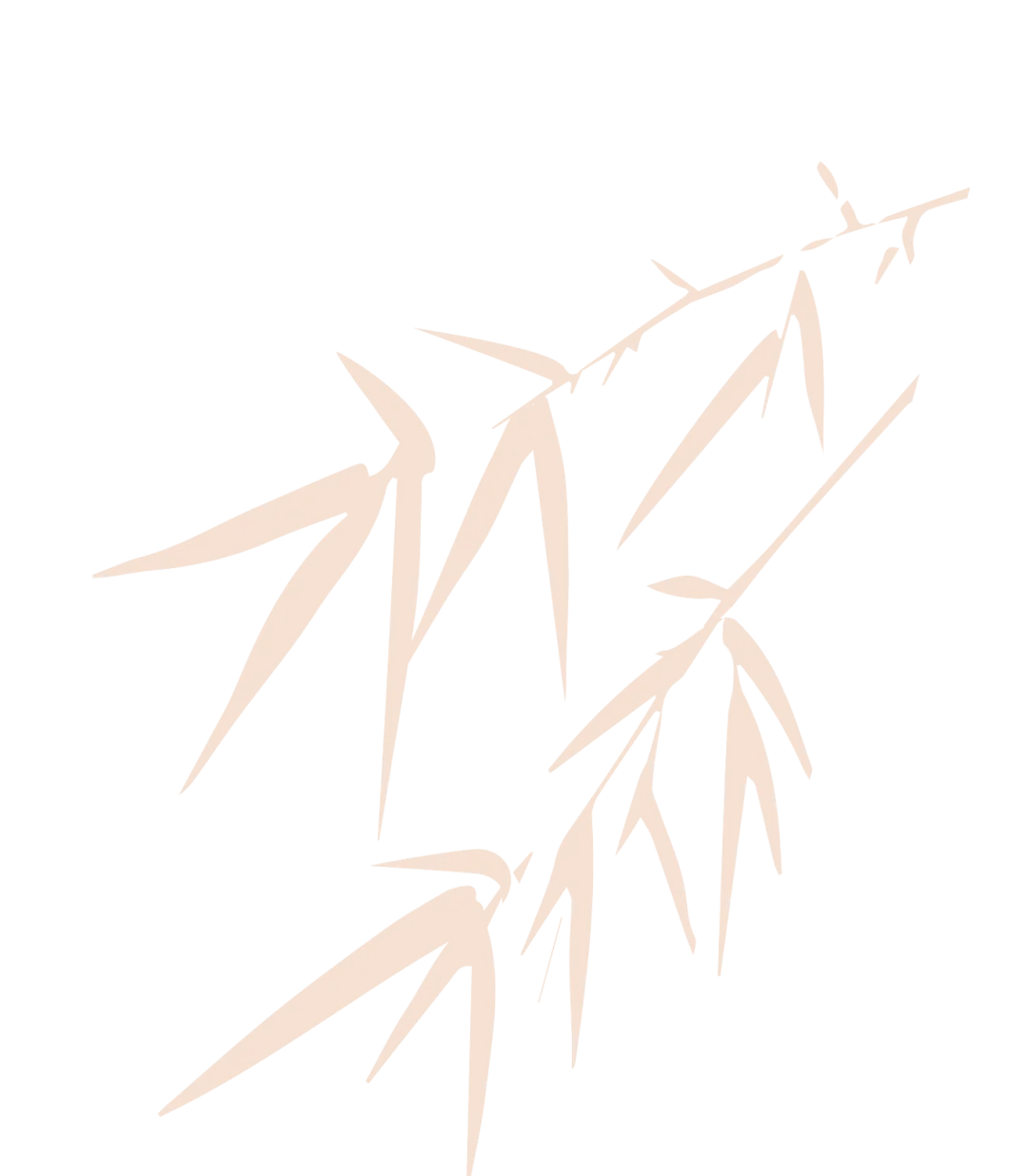 扬州知名景区刚刚通知:所有在扬州过年的请注意!