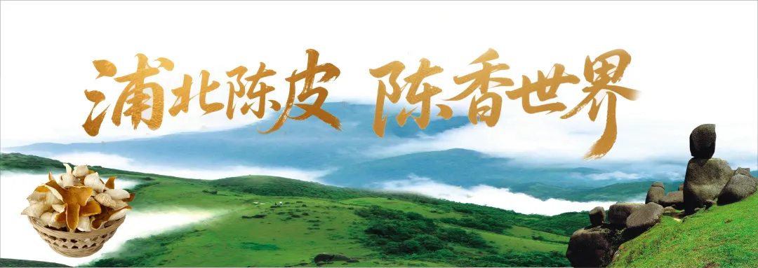 浦北县五皇山旅游景区道路2026年春节期间交通管控通告