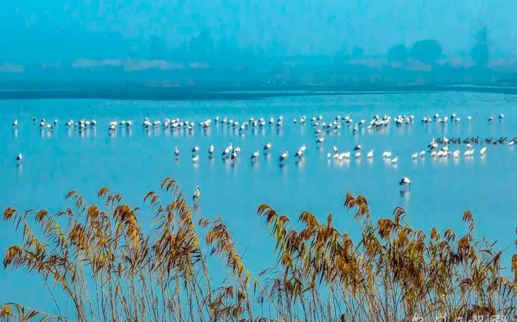 安徽池州东至县必去十大旅游景点,升金湖湿地全在这里!
