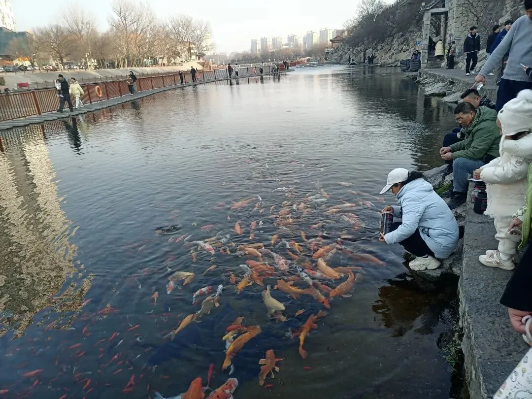 自驾来峰峰矿区黑龙洞景区游玩的游客注意避雷啦!这里有条单行道,附停车场和抓拍点位!
