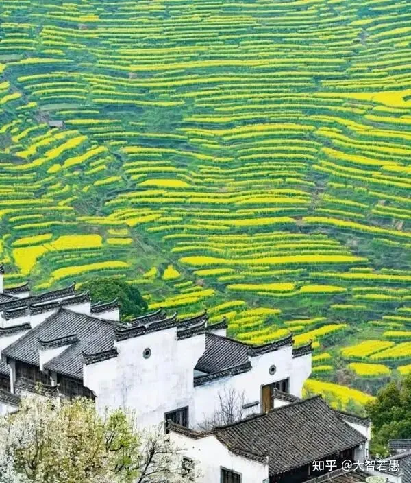 去了趟云南后,我不想再去旅游了,云南朋友听完别骂我