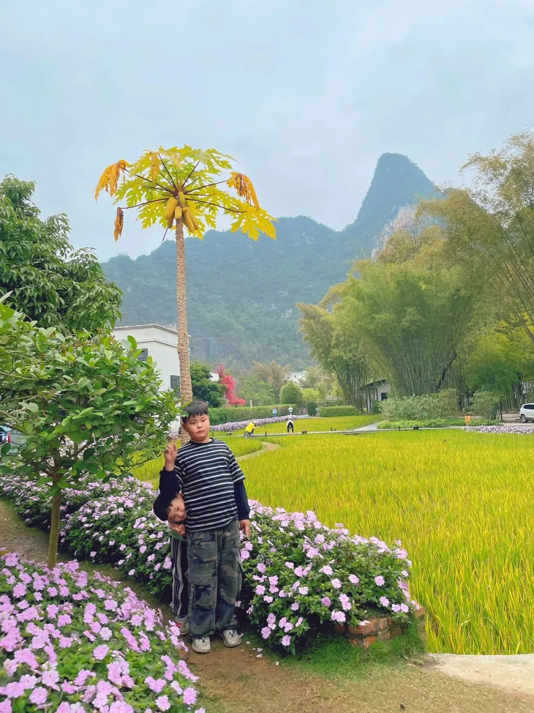 适合遛娃度假的小众景点,一面稻田一面山丘,玩几天都不会腻…