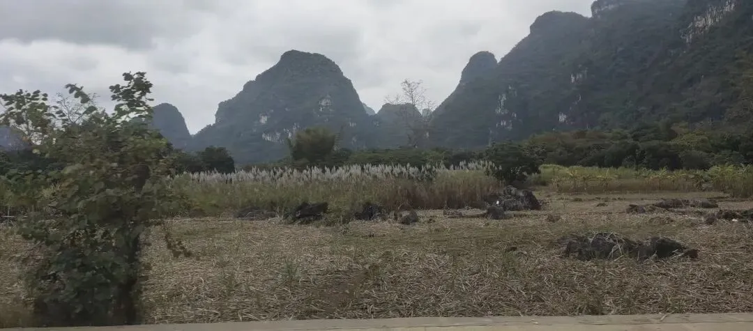 【广西旅游特辑】09 喀斯特地貌——刻在石头上的“年轮”