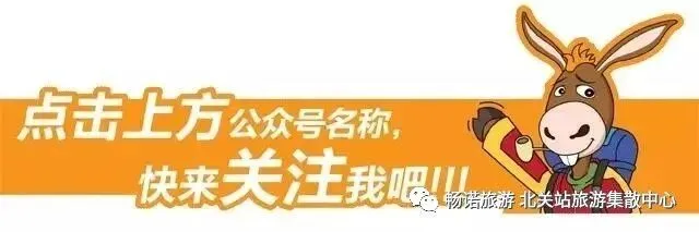 畅诺旅游公司、印台旅游集散中心给您拜年啦!
