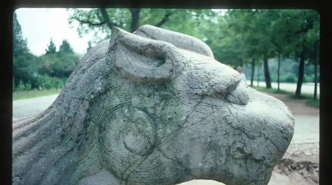 1984年南京,景区还如此原生态