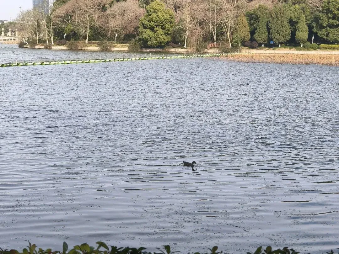 春节期间建议不要和父母旅游
