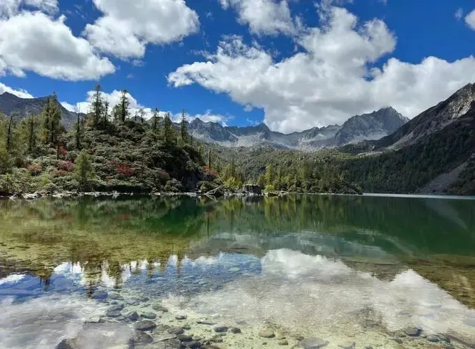 四川党岭把全国景区的饭碗给砸了