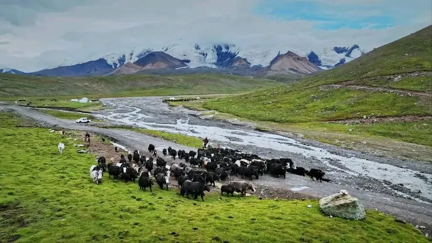 青海阿尼玛卿把全国景区的饭碗给砸了