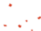 “马”力全开,“旅”启新程 | 旅游学院给您拜年啦!