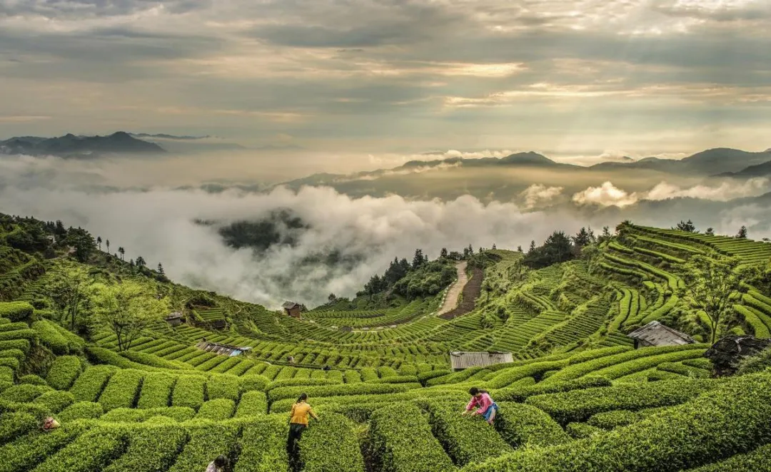 清明反向旅游!6个小众城市,避开人潮,轻松度假!!