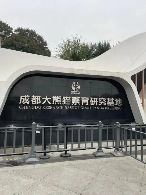 成都大熊猫繁育研究基地把全国景区的饭碗给砸了