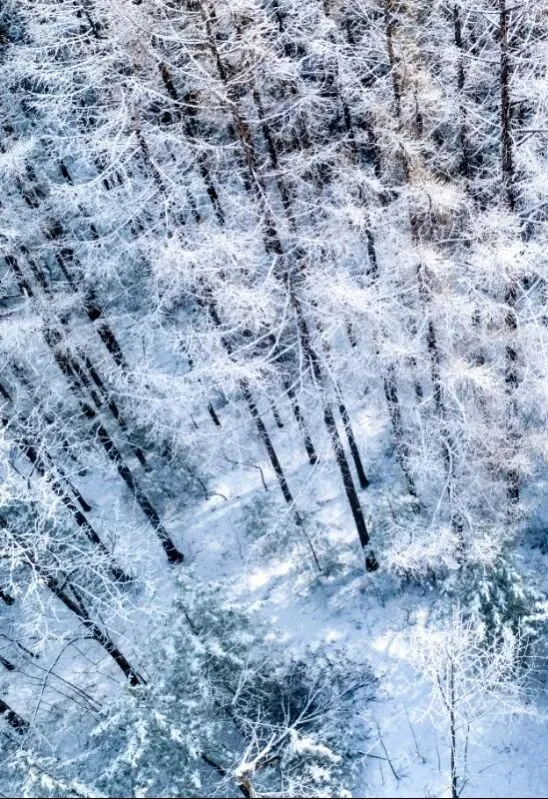 【回家过大年】勃利县春节假期冬季旅游线路幸福来袭,邀您欢度团圆年!