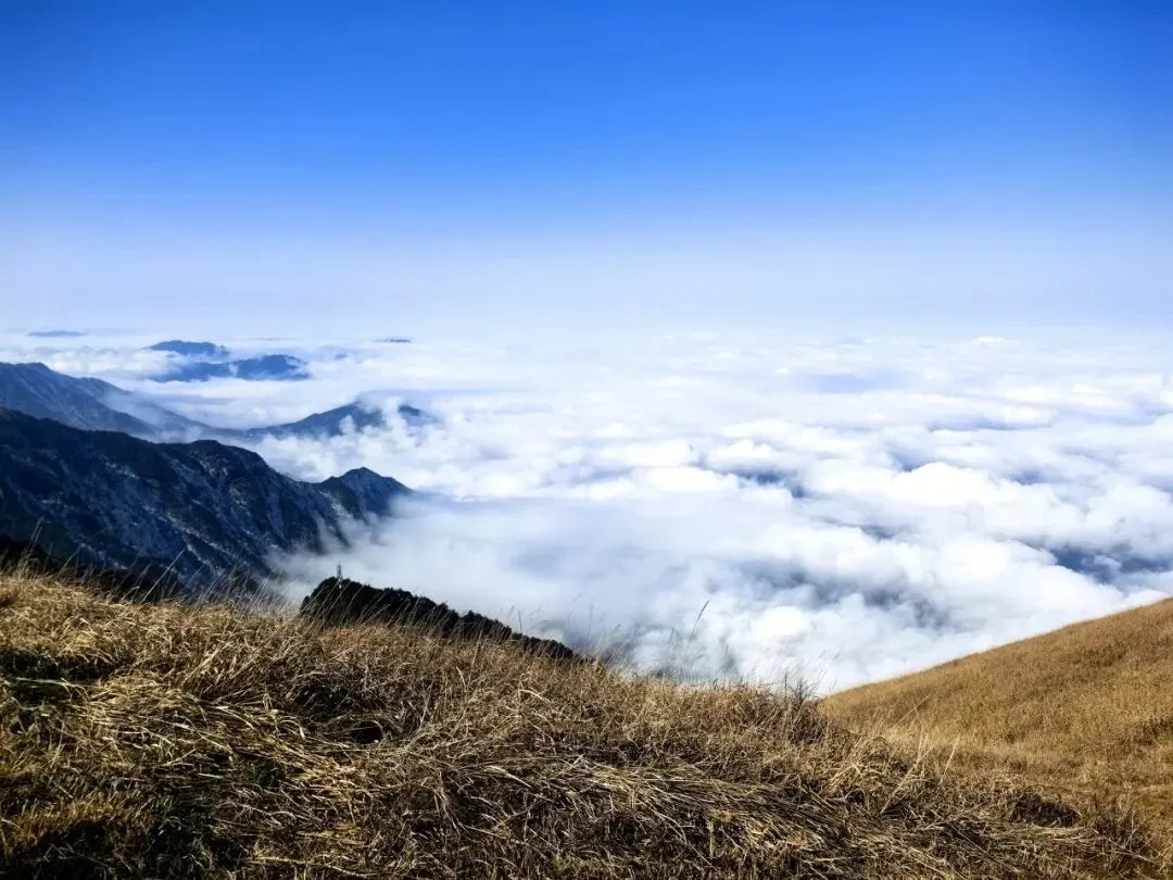春节三期出发【武功山金顶露营】景区轻松上金顶看星空,日出,云海超给力!