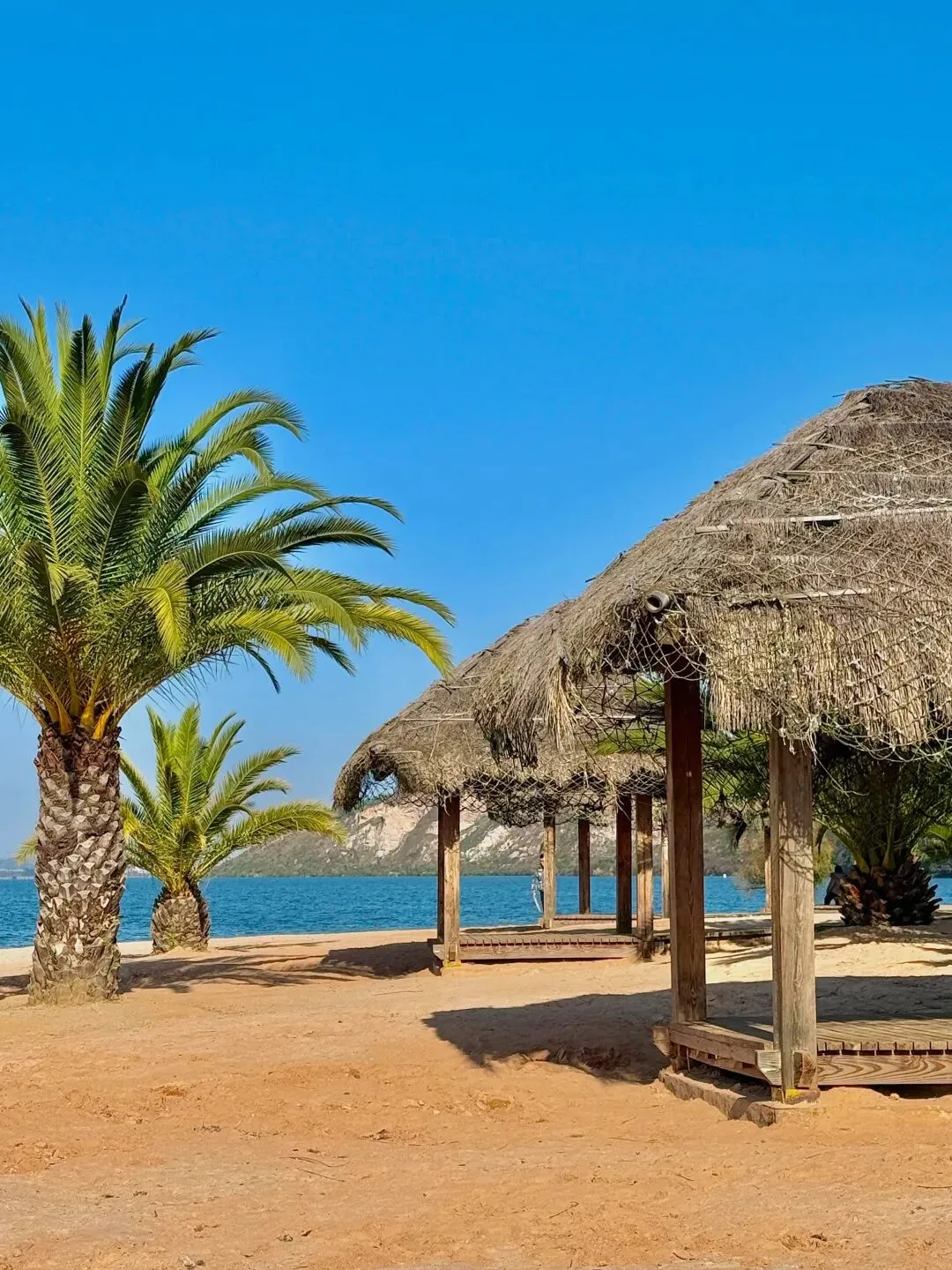 昆明三天两夜爆款旅游攻略|赴一场春城暖阳与花海鸥影之约