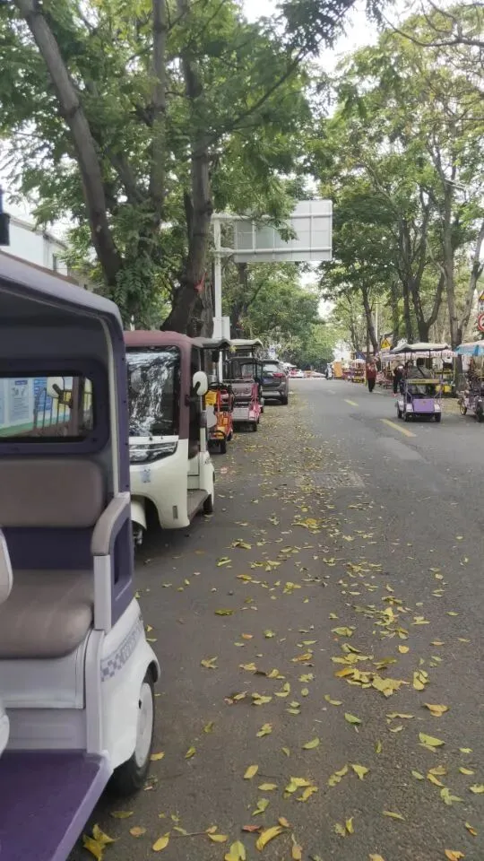 这个春节在外旅游的人越来越少