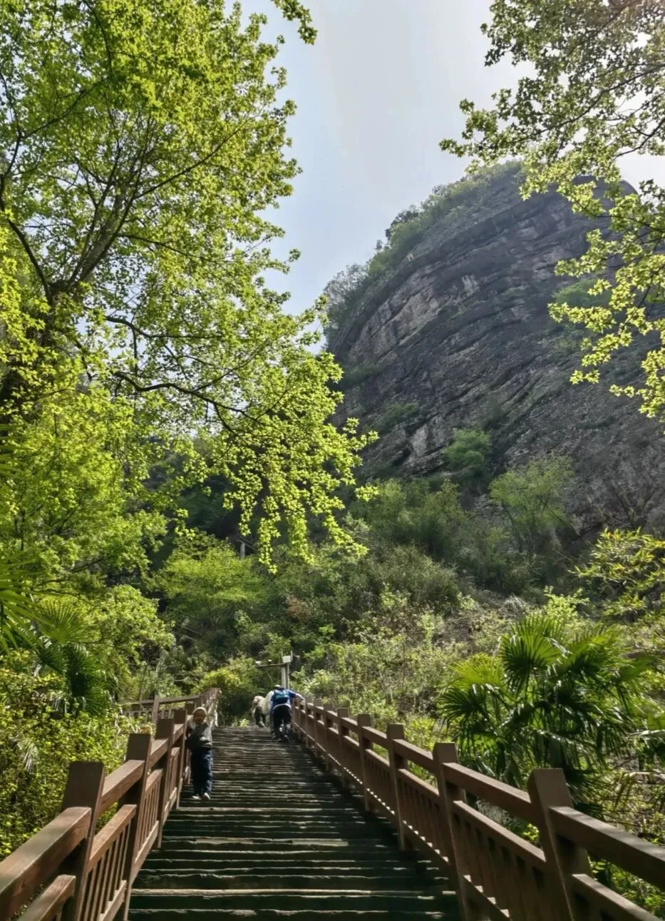 杭州人嘴真严,这座藏在小县城里的宝藏景点,风景梦幻却鲜为人知,堪称浙江最美的一座园