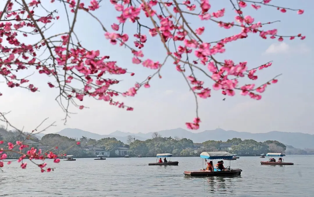 直冲27℃,春节后期天气反转!西湖景区这样逛→