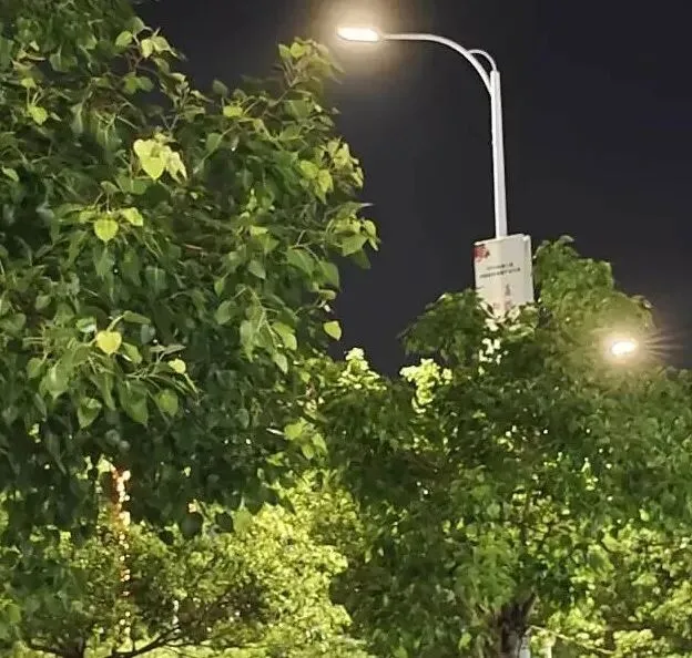 大学生过年:没成绩,没对象,没旅游,但很快乐