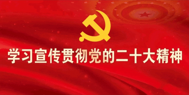 新春走基层 | 湖口:景区里观候鸟过大年