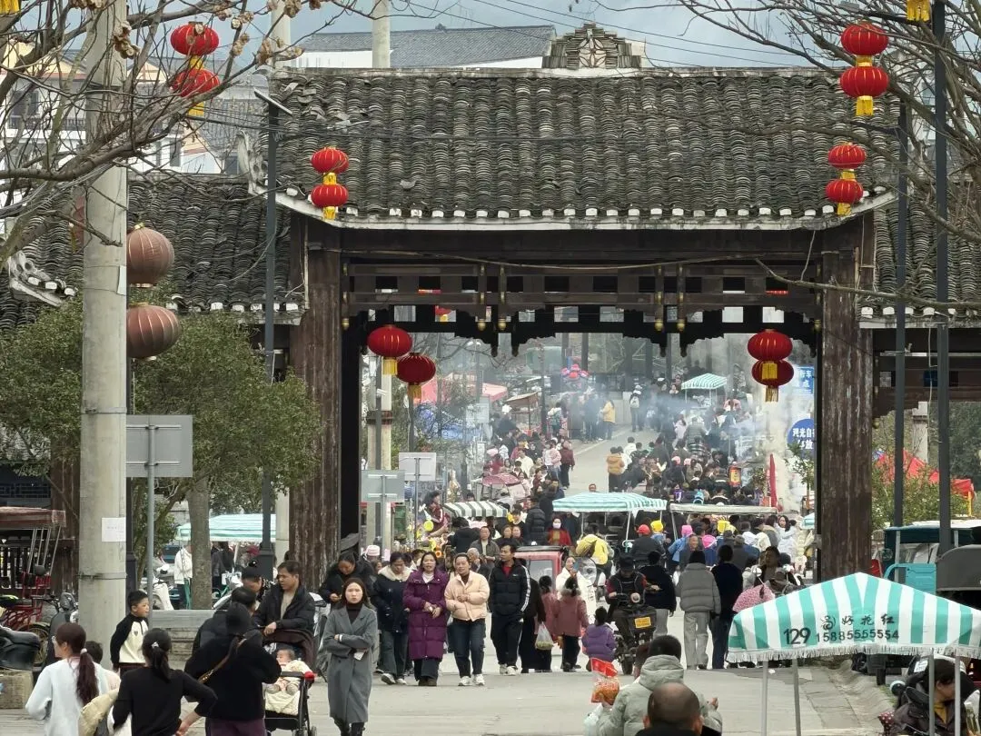 好花红镇:新春开门红!好花红乡村旅游区人气爆棚,引爆新春游玩热潮