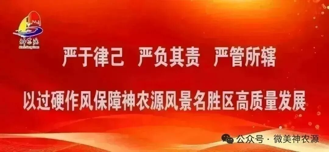 “来神农源,过好运年”,“旅游+年俗”让游客收获新春祝福与惊喜