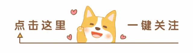 《宝藏地图!2026青岛春节游玩攻略出炉,7区3市活动一网打尽》