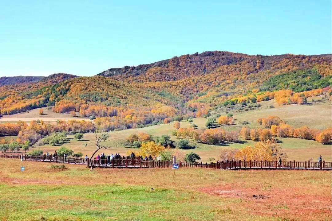 内蒙古乌兰布统把全国景区的饭碗给砸了